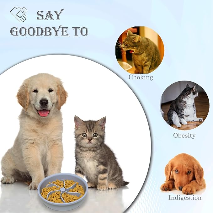 Slow Feed Dog Bowl & Cat Bowl (10 oz, Grey, Modern Silicone, Promotes Healthy Eating, Large Dogs & Cats, Multiple Pets)