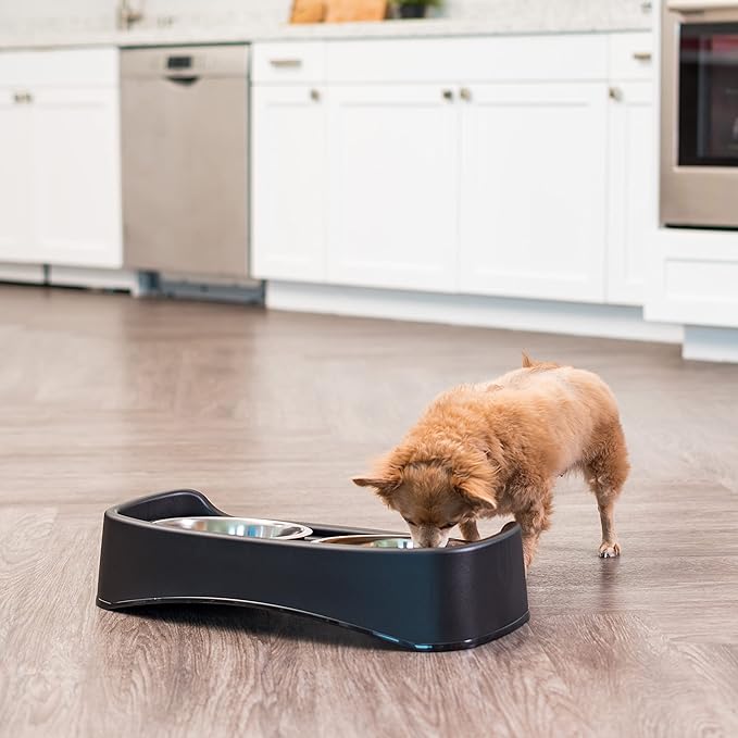 IRIS USA Adjustable Elevated Dog Bowls, Raised Feeder with 2 Stainless Steel 64 oz Bowls, Spill-Guard Rim, 12.25" or 4.63" Heights, Durable Plastic, Made in USA, Black