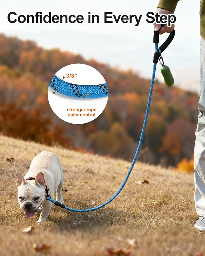 Joytale Dog Leash for Small Dogs, Heavy Duty Nylon Leashes with Comfortable Padded Handle and Highly Reflective Threads, Ideal for Walking and Training, SkyBlue, 6'×3/8''