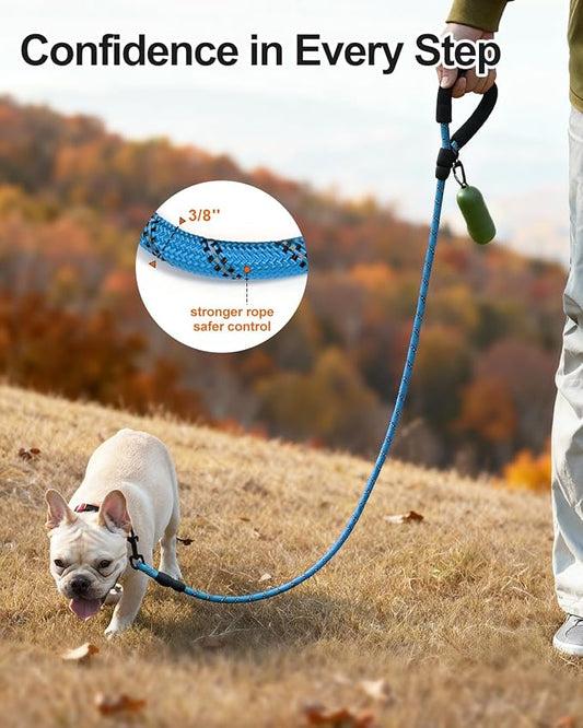 Joytale Dog Leash for Small Dogs, Heavy Duty Nylon Leashes with Comfortable Padded Handle and Highly Reflective Threads, Ideal for Walking and Training, SkyBlue, 6'×3/8''