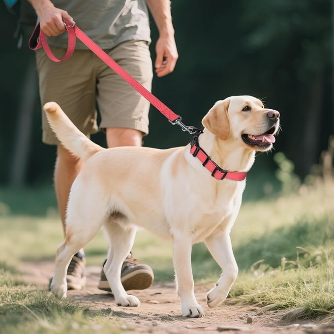Joytale Reflective Dog Collar, Soft Neoprene Padded, Metal D-Ring, Nylon Pet Collar Adjustable for Extra Large Dogs, Neon Pink, XL