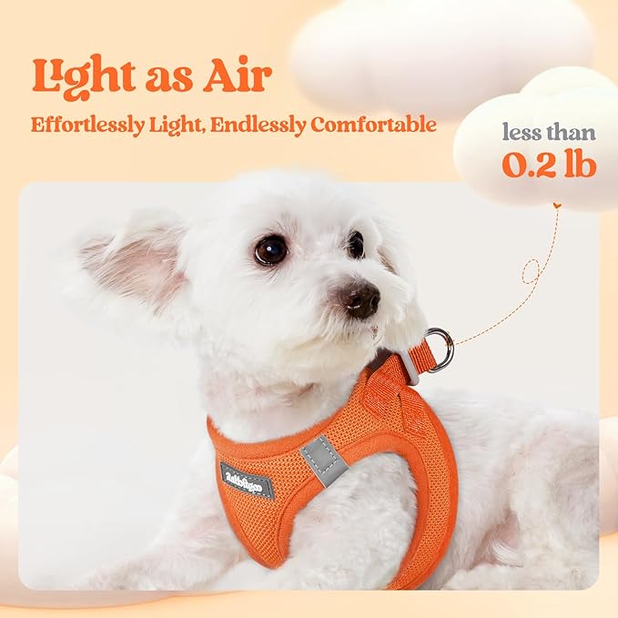 rabbitgoo Dog Harness Small Sized and Leash Set, Step in Soft Light Puppy Vest, Breathable Mesh Pet Harness, Reflective for Safe Easy Walking, Orange XXS