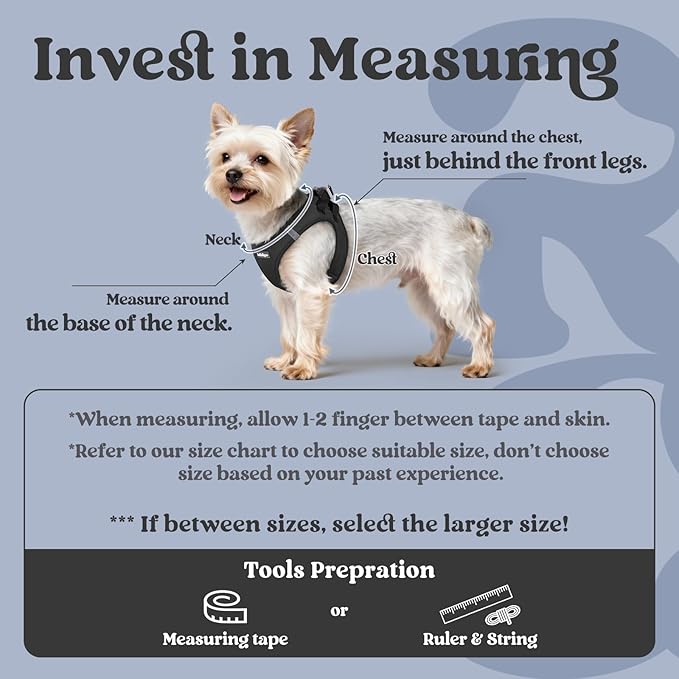 rabbitgoo Small Dog Harness, Step-in Soft Mesh Puppy Vest with Safety Buckle, Breathable Reflective Pet Harness for Extra Small Dogs, Black XXXS