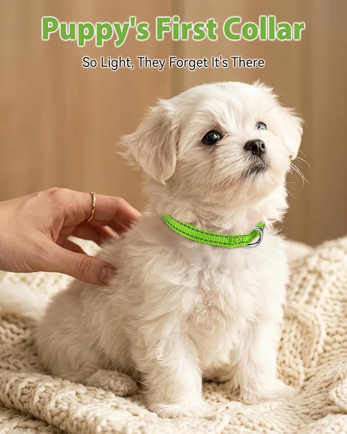 Joytale Puppy Collar, Feather-Light Double-Sided Reflective Nylon Collar for Night Safety, Adjustable Quick-Release for Extra Small Dogs, Green, XS (3/8" Width)