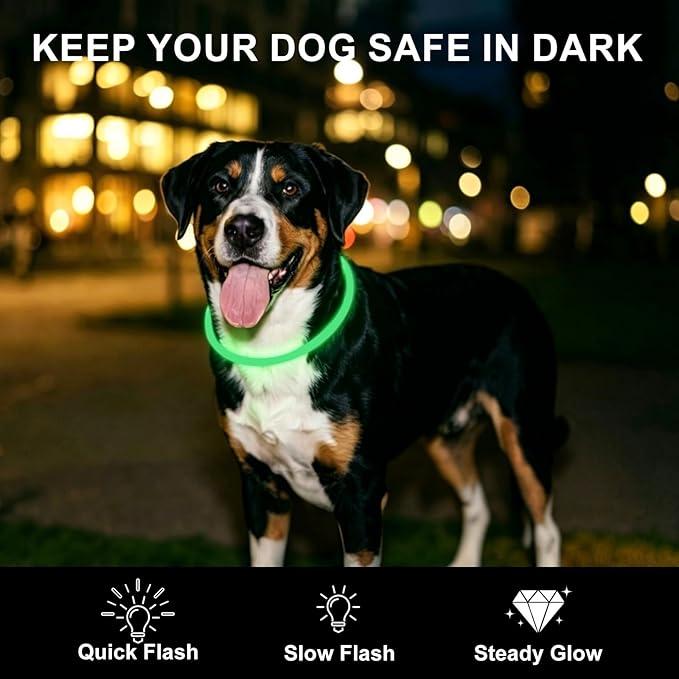 Novkin 2-Pack LED Dog Collar, Light Up Dog Collars,Rechargeable Dog Lights for Night Walking，Universal, Reusable Safety Necklace for Small Medium Large Dogs Green&Blue