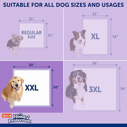 Hartz Home Protection Super Absorbent Odor Eliminating Lavender Scented No Leaks Dog Pads, XXL 80 Count