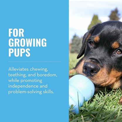 KONG Puppy Binkie - Pacifier Dog Toy for Puppies - Stuffable Treat Chew Toy for Treats - Durable Natural Rubber for Teething Puppy - for Medium Puppies - Blue