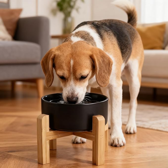 Elevated/Raised Ceramic Dog Bowl with Bamboo Stand，6 Inch 3.6 Cups Non Slip Heavy Weighted Single Pet Dish, for Small Medium Breed & Cats,Reduces Neck Strain Black