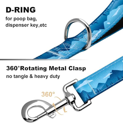5ft Nylon Dog Leash with Soft Neoprene Handle for Small Dogs, Blue Sunset