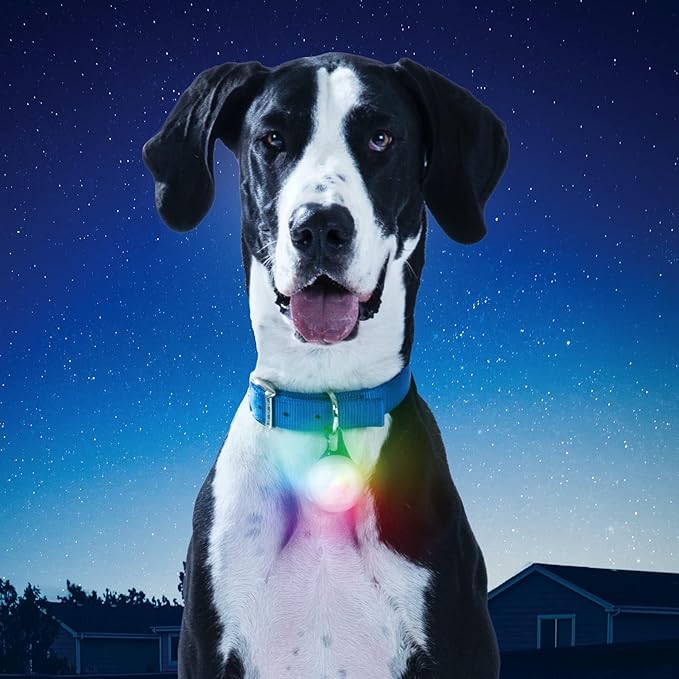 Nite Ize SpotLit XL Rechargeable Collar Light - Disc-O Select - Clip-On Pet Accessory for Nighttime Visibility - Color-Changing LED - Stainless Steel Carabiner Clip - Weather-Resistant