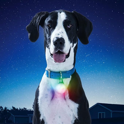 Nite Ize SpotLit XL Rechargeable Collar Light - Disc-O Select - Clip-On Pet Accessory for Nighttime Visibility - Color-Changing LED - Stainless Steel Carabiner Clip - Weather-Resistant
