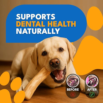Set 3 of Coffee Wood Dog Chew Toy – Coffee Chew Stick for Medium Dogs - Teeth Cleaning & Stress Relief – Safe, Durable & Eco-Friendly Dog Chew Toy (Medium - Under 55 lbs)