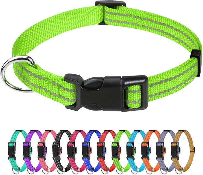 TagME Reflective Nylon Dog Collars, Adjustable Classic Collar with Quick Release Buckle for Puppy, Green, 3/8" Width