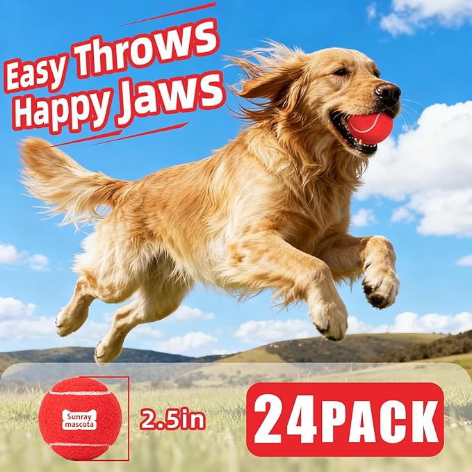 2.5" Dog Tennis Balls 24-Pack – Silent Bounce, Tough Rubber Core, Durable Fetch & Training Toys for Indoor/Outdoor Play, for Small Medium Large Dogs (Classic Mix Color, 24-Pack)