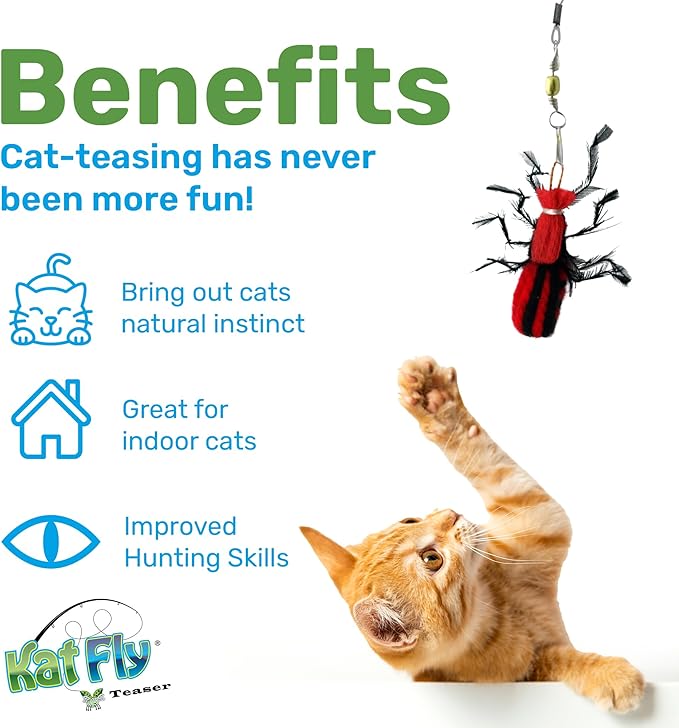 2 Inch Handmade Cat Toy Teaser Wand Refill Beetle - Red Natural Material Toys, Hunting Instinct Play, Interactive Exercise Attachment Set for Indoor Cats