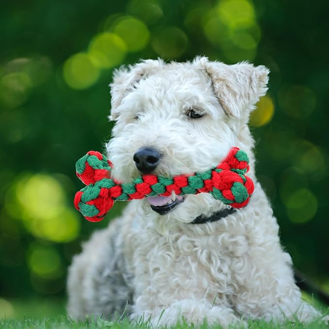 Dog Chew Bone Shaped Cotton Rope Interactive Molar Chewing 15cm for Pet Dogs Teeth Cleaning and Tug Play