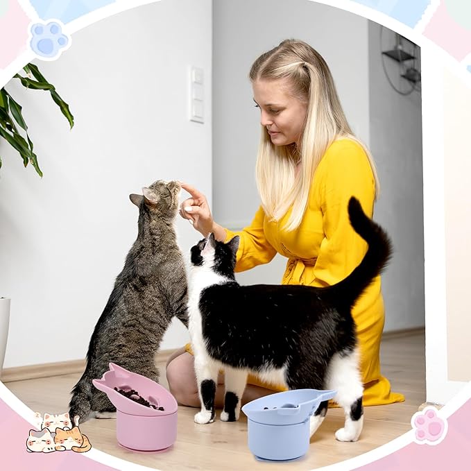 2 Pack Silicone Cat Slow Feeder, Elevated Slow Feeder Cat Bowl for Dry and Wet Food, Tilted Design with Non Slip Base, Adjustable Angle for Pet(Pink and Blue)