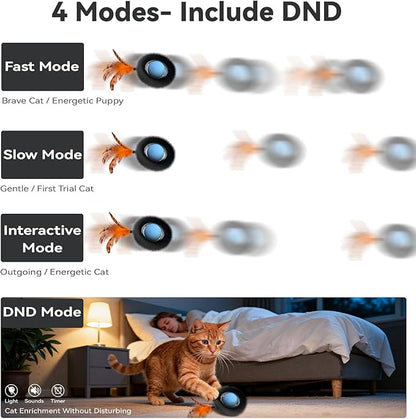 Interactive Cat Toy with Motion Activated Ball & 7-Hole Play Mat, Hide and Seek Exercise Game for Indoor Cats, Automatic Moving Cat Ball in Pouch, Rechargeable Kitten Toys