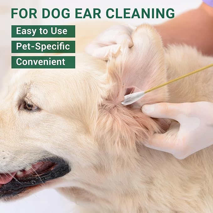 200PCS Large Cotton Swabs, Dog Cotton Swabs for Ears, 6" Long Dog Ear Swabs Large Size, Highly Absorbent Cotton Buds with Strong Bamboo Stick, Specially Designed for Dogs Cats Ear Cleaning, Pet Care