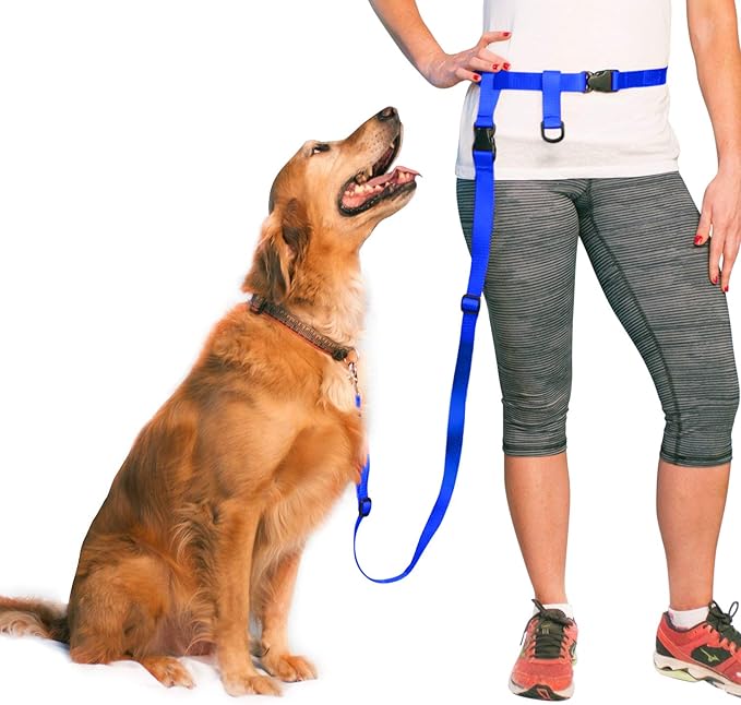 The Buddy System Hands Free Dog Leash, Adjustable Leash for Running, Jogging, Training and Service Dogs, Great for Small, Medium and Large Dogs, Made in USA (Royal Blue, X-Large Belt (33"- 60" Waist))