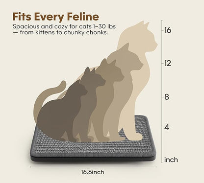 Cat Wall Shelf Window Perch, Cats Bed Hammock with Scratching Pad, Cat Shelf for Climbing Sleeping Playing,Black Furniture for Indoor Large Cats