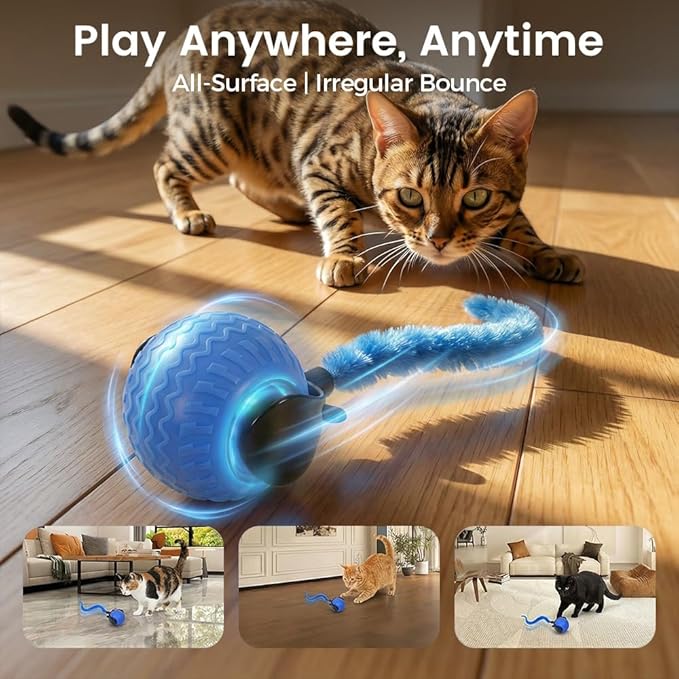 Interactive Toys for Cats, 2026 New Interactive Cat Toy Ball, Automatic Moving Cat Toy for Indoor Use, Rechargeable Feather Tail Cat Toy with Stimulation for Small Medium Large Cats (1 * Blue)