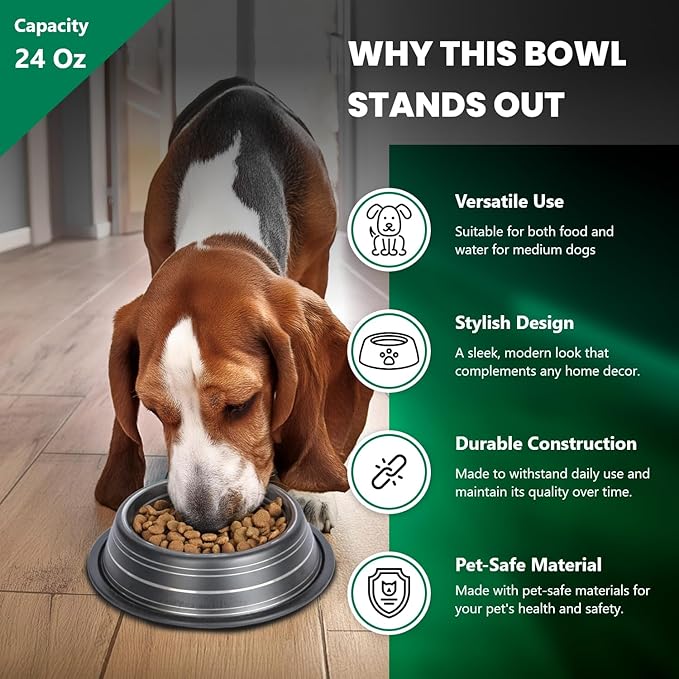 Iconic Pet 3 Cup/24 Oz Elegant Stainless Steel Color Splash Food/Water Bowl with Non Skid, Noise Free, Removable Rubber Ring - Dog/ Cat Feeding Bowl In color shade, Dishwasher Safe - Black, 2 Bowls