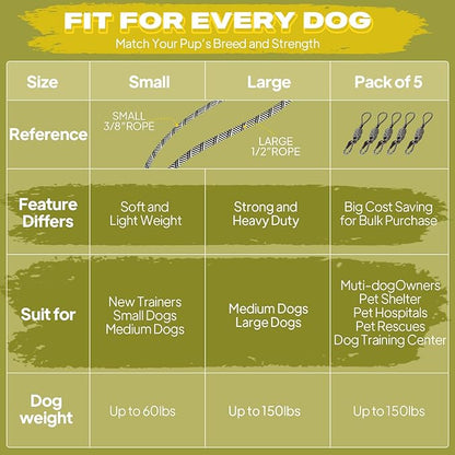 Fida Durable Slip Lead Dog Leash Bulk Pack of 5, Heavy Duty 1/2" x 6 FT Comfortable Strong Rope Slip Lead for Large, Medium & Small Dogs No Pulling Pet Training Leash with Highly Reflective (Grey)