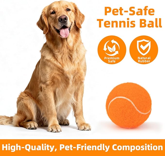 2.5" Dog Tennis Balls 6-Pack – Silent Bounce, Tough Rubber Core, Durable Fetch & Training Toys for Indoor/Outdoor Play, for Small Medium Large Dogs (Classic Mixed Color,6-Pack)