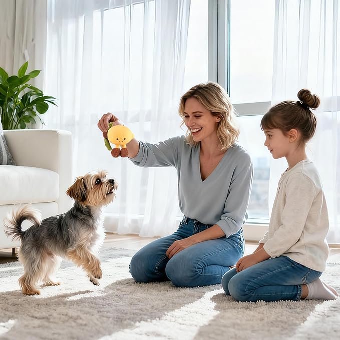 Pet Dog Cat Chew Toy: Fun, Playful, Cute, and Durable (Lemon)