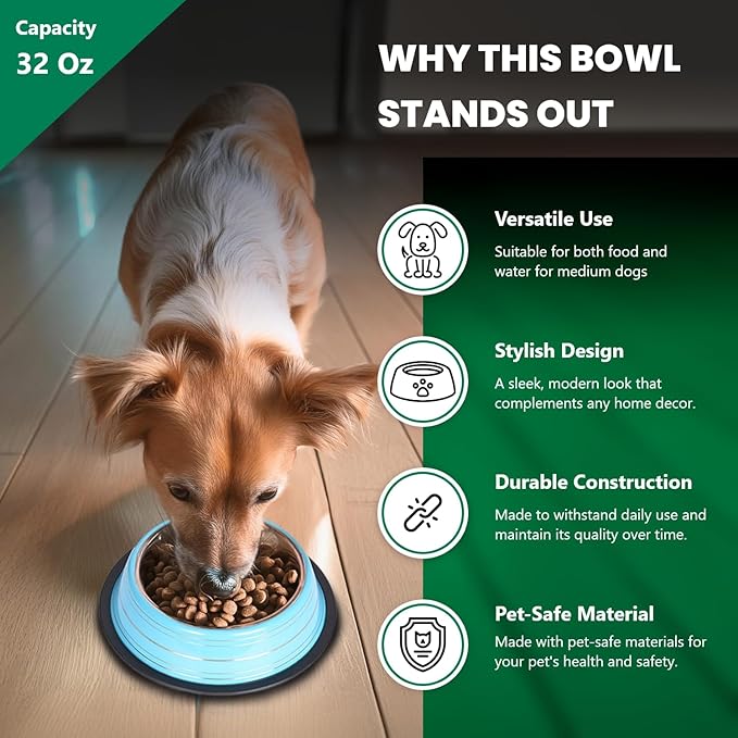 Iconic Pet 4 Cup/32 Oz Elegant Stainless Steel Color Splash Food/Water Bowl with Non Skid, Noise Free, Removable Rubber Ring - Dog/ Cat Feeding Bowl In color shade, Dishwasher Safe - Blue, 2 Bowls