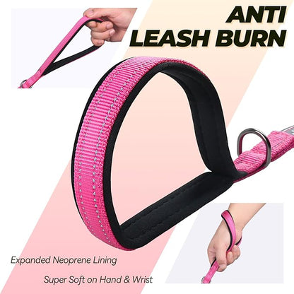 VIVAGLORY Dog Leash Twingrip Double Handle Dog Leash with Traffic Handle Control & 2 Loop for Walking & Training, Reflective Heavy Duty for Puppy Pet Collar, 4ft x 1/2in, Pink