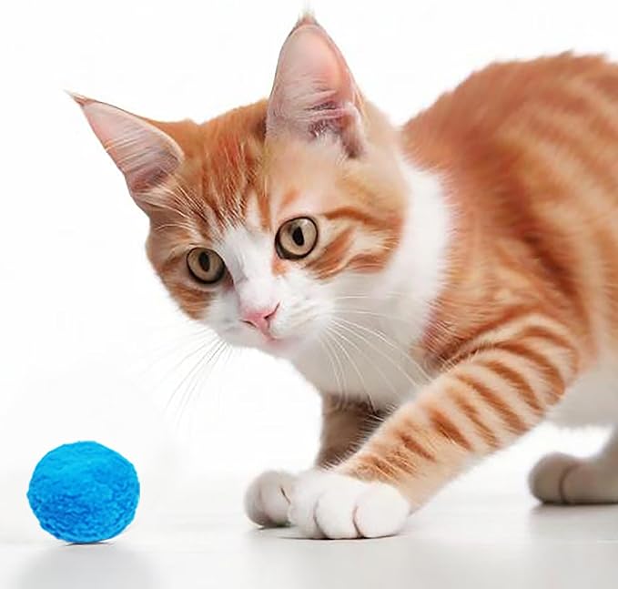 Premium Soft Pom Pom Balls - 50PCS Colorful Pet Toy Balls for Cats, 1.2 Inch Lightweight & Safe Interactive Play, Training, and DIY Crafts