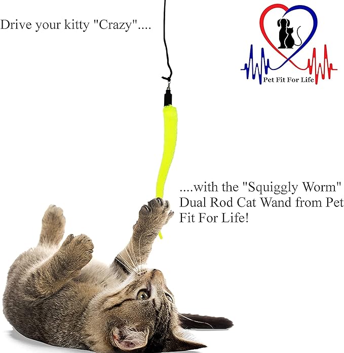 Pet Fit For Life Cat Wand Toy: 5-Piece Worm Teaser & Exerciser - Cat Wand Toys for Indoor Cats - Durable Flirt Pole/Teaser Worm Toy for Cats - Interactive Fun for Feline Fitness Health & Agility