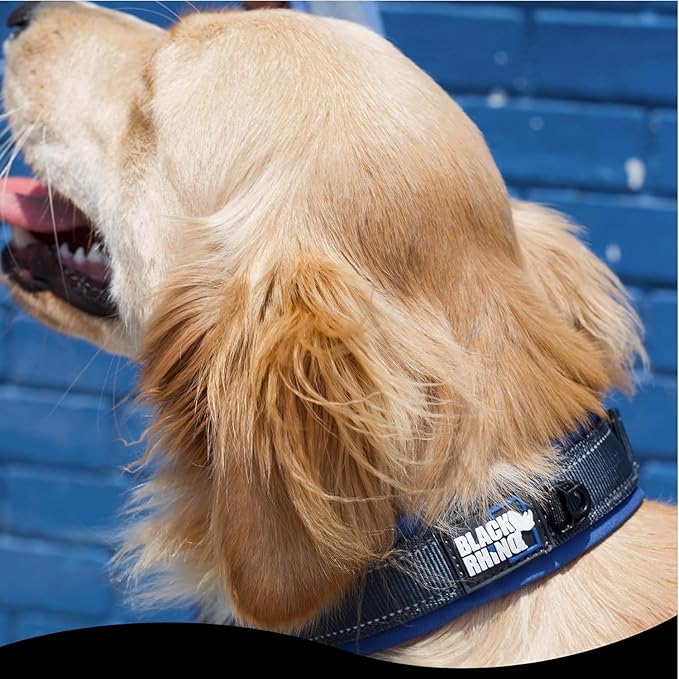 Black Rhino - The Comfort Collar Ultra Soft Neoprene Padded Dog Collar for All Breeds, Dog Collars for Large Dogs - Heavy Duty Adjustable Reflective Weatherproof (XLarge, Blue/Grey)