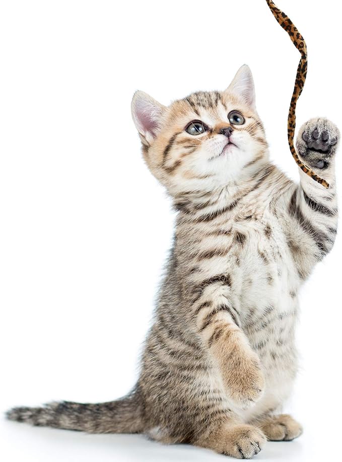 Sumind 3 Pieces Jungle Cat Wand Cat Teaser Charmer Interactive Fun Toys Wand Kitten Kitty Playing Toy, 3 Styles(Classic Color)