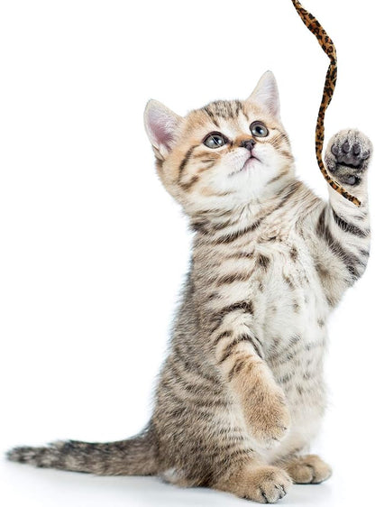Sumind 3 Pieces Jungle Cat Wand Cat Teaser Charmer Interactive Fun Toys Wand Kitten Kitty Playing Toy, 3 Styles(Classic Color)