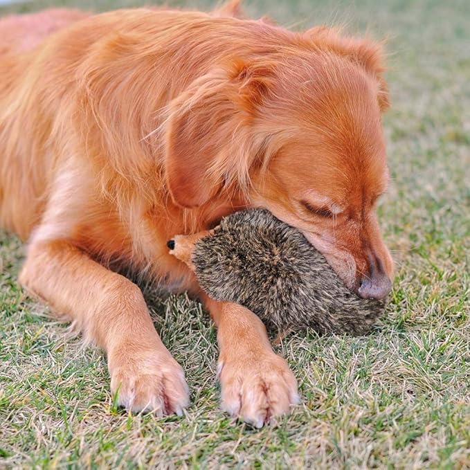 ZippyPaws Hedgehog - Dog Squeaky Toys to Keep Them Busy, Cute Plush for Small, Medium, & Large Dogs, Stuffed Puppy Toy, Pet Products, Gift for All Breeds, Interactive Squeaker