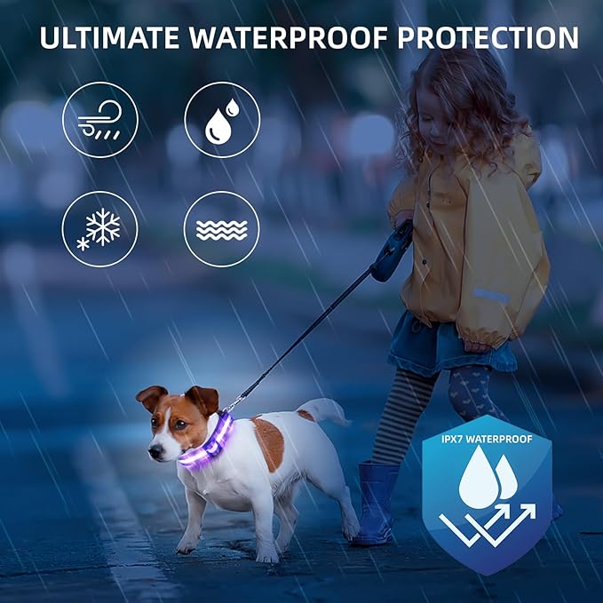 LED Dog Collar for Small Dogs & Toy Breeds – USB-C Rechargeable Light Up Dog Collar, Fully Waterproof Adjustable Glow Collar for Night Walking & Safety(Purple,S)