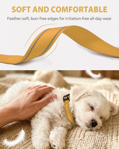 Joytale Small Dog Collar, Durable Double-Sided Reflective Nylon Collar for Night Safety, Adjustable Quick-Release for Active Breeds, Khaki, S (3/4" Width)