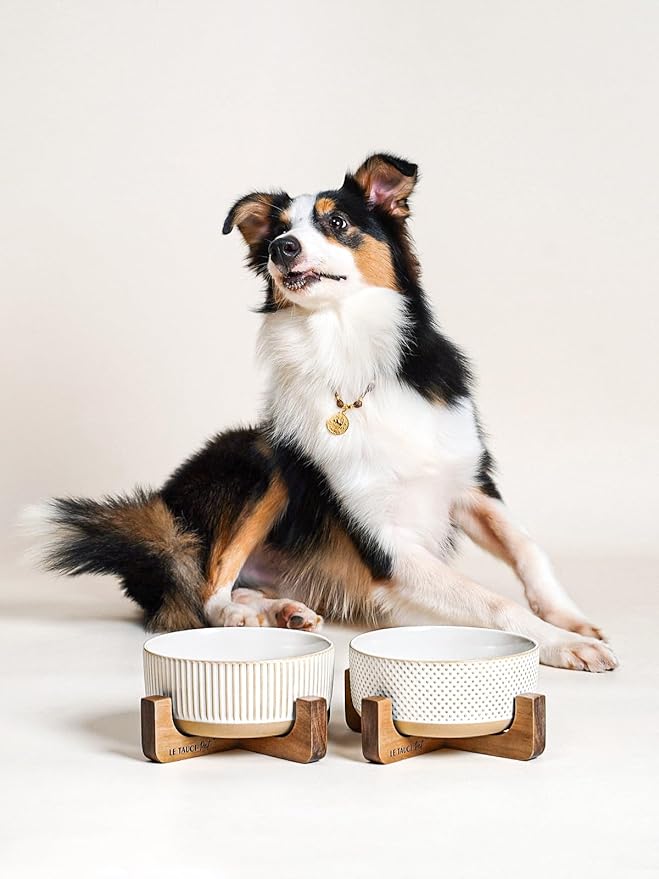 LE TAUCI PET Ceramic Dog Bowls for Medium Large Dogs - 5 Cup Large Dog Food and Water Bowls with Wood Stand, Cute Pet Dishes Set of 2, Lines+Dot