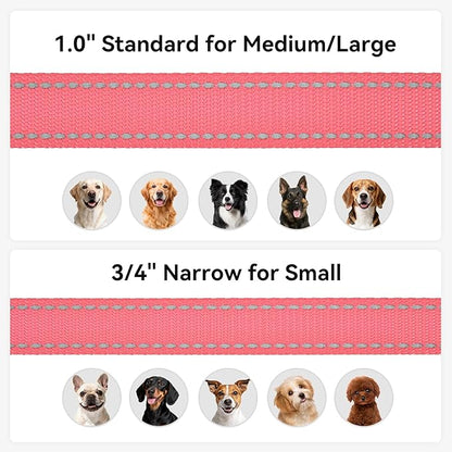 Joytale Dog Leash, 6 FT Double-Sided Reflective, Padded Handle Nylon Heavy Duty Leashes for Medium & Large Dogs Walking, Neon Pink