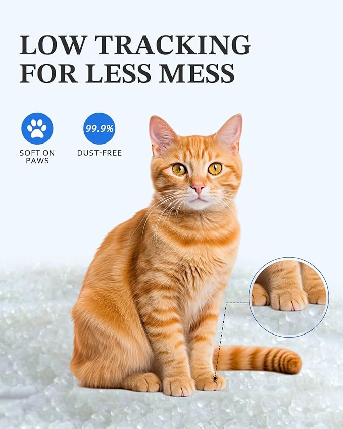 Crystal Cat Litter with Powerful Odor Control, Non-Clumping, Lasts Up to 2 Months, 8.6lb, Rapid Water Absorption, Unscented & Low Tracking Lightweight White Silica, 2 Pack of 4.3lb