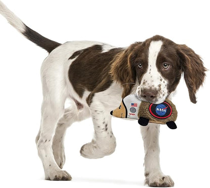 NASA Plush Hedgehog Toy for Dogs & Cats, Cool Soft Pet Toy for Fun and Interactive Play, Dog Chew Toy with Squeaker