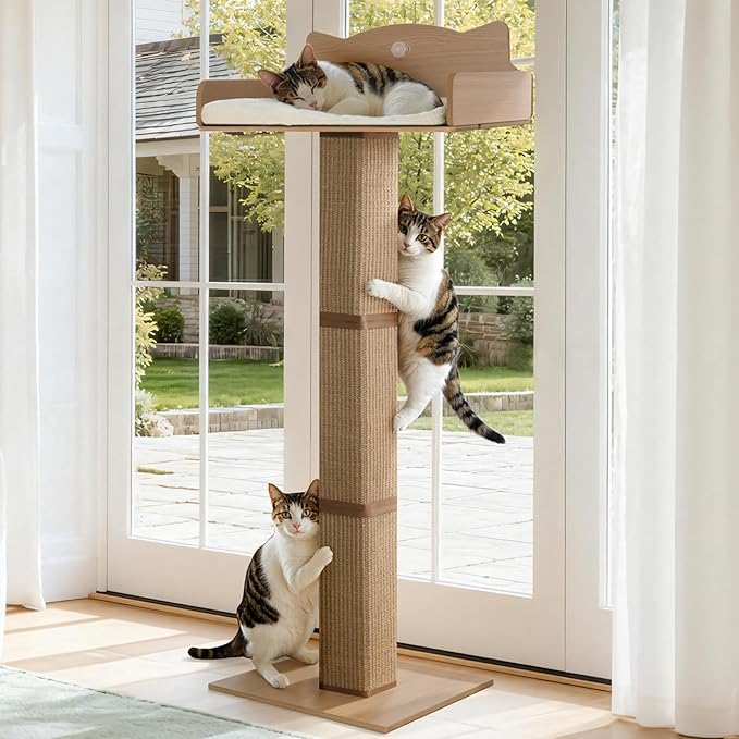 Cat Window Perch with Thick Sisal Scratching Post, Cats Hammock for Window with 3 Upgrade Suction Cups, 55" Adjustable Tall Cat Scratching Post with Large Perch, Cats Window Bed with Fluffy Cushion