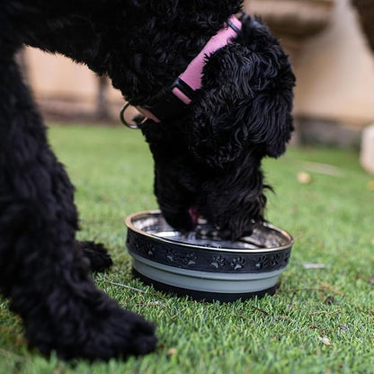 Loving Pets Corsa Dog Bowls- Stainless Steel Dog & Cat Bowls - Spill Proof Dog Food Bowl, Cat Bowl, Puppy Essentials & Pet Supplies Great for Home & Travel (Small 10-20 lbs, Stealth Black)