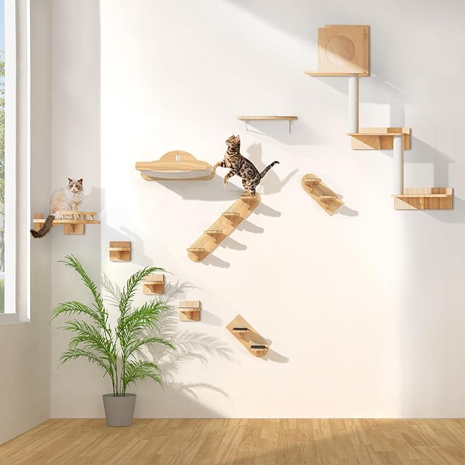 Wall Mounted Cat Hammock with 3 Climbing Steps,Pine Wood Cat Climbing Shelves & Perches up to 30lbs,Kitty Wall Shelf Furniture for Indoor Sleeping, Lounging,Climbing and Playing