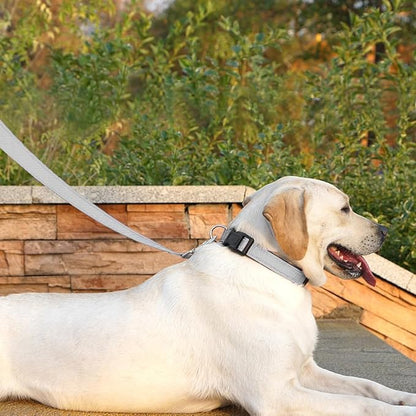Dog Leash 6 FT Padded Handle Nylon Reflective Dogs Leashes for Large Dogs Silver