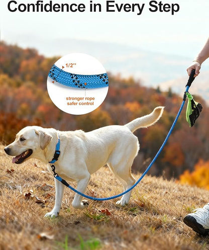 Joytale Dog Leash for Large Dogs, Heavy Duty Nylon Leashes with Comfortable Padded Handle and Highly Reflective Threads, Ideal for Walking and Training, SkyBlue, 5'×1/2''