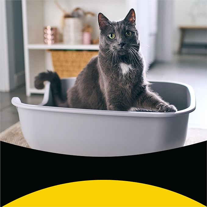 Purina Tidy Cats Clumping, Lightweight, Multi Cat Litter, Tidy Max Glade Clear Springs Formula - 17 lb. Box